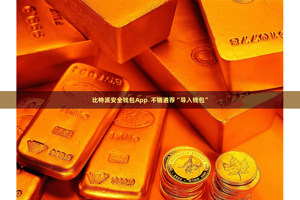 比特派安全钱包App  不错遴荐“导入钱包”