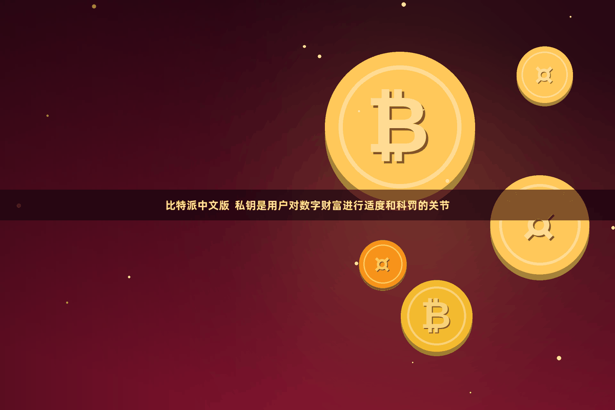比特派中文版  私钥是用户对数字财富进行适度和科罚的关节